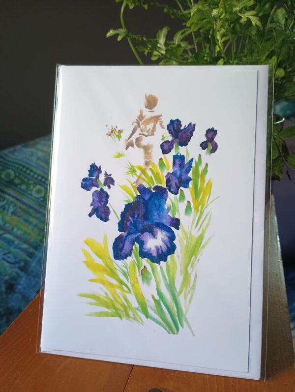 Iris - Image 2