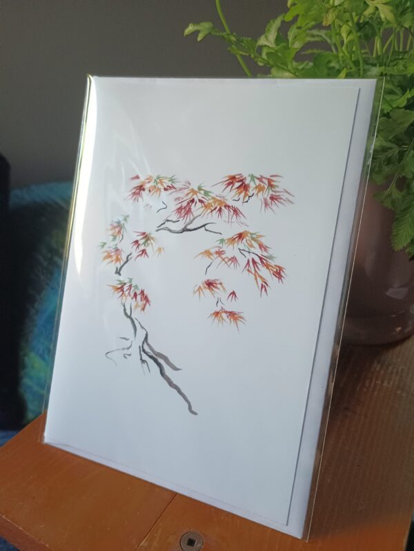 Japanese Maple - Image 2