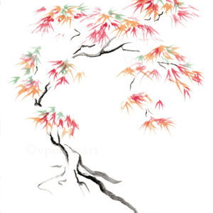 Japanese Maple