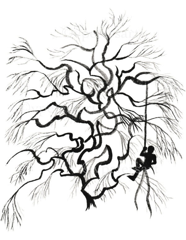 Maple Climber