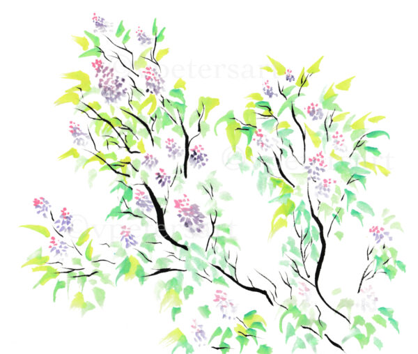 Lilacs