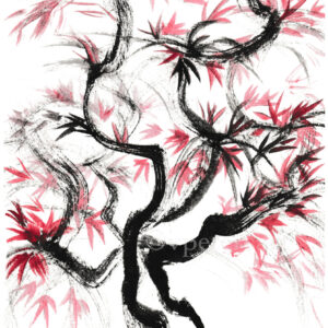 Red Maple