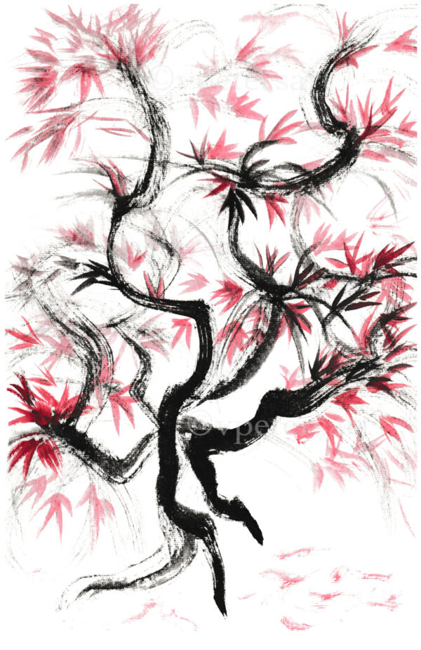 Red Maple