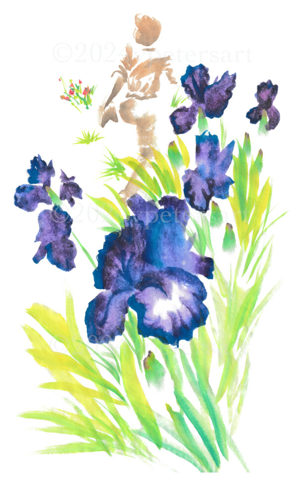 Iris